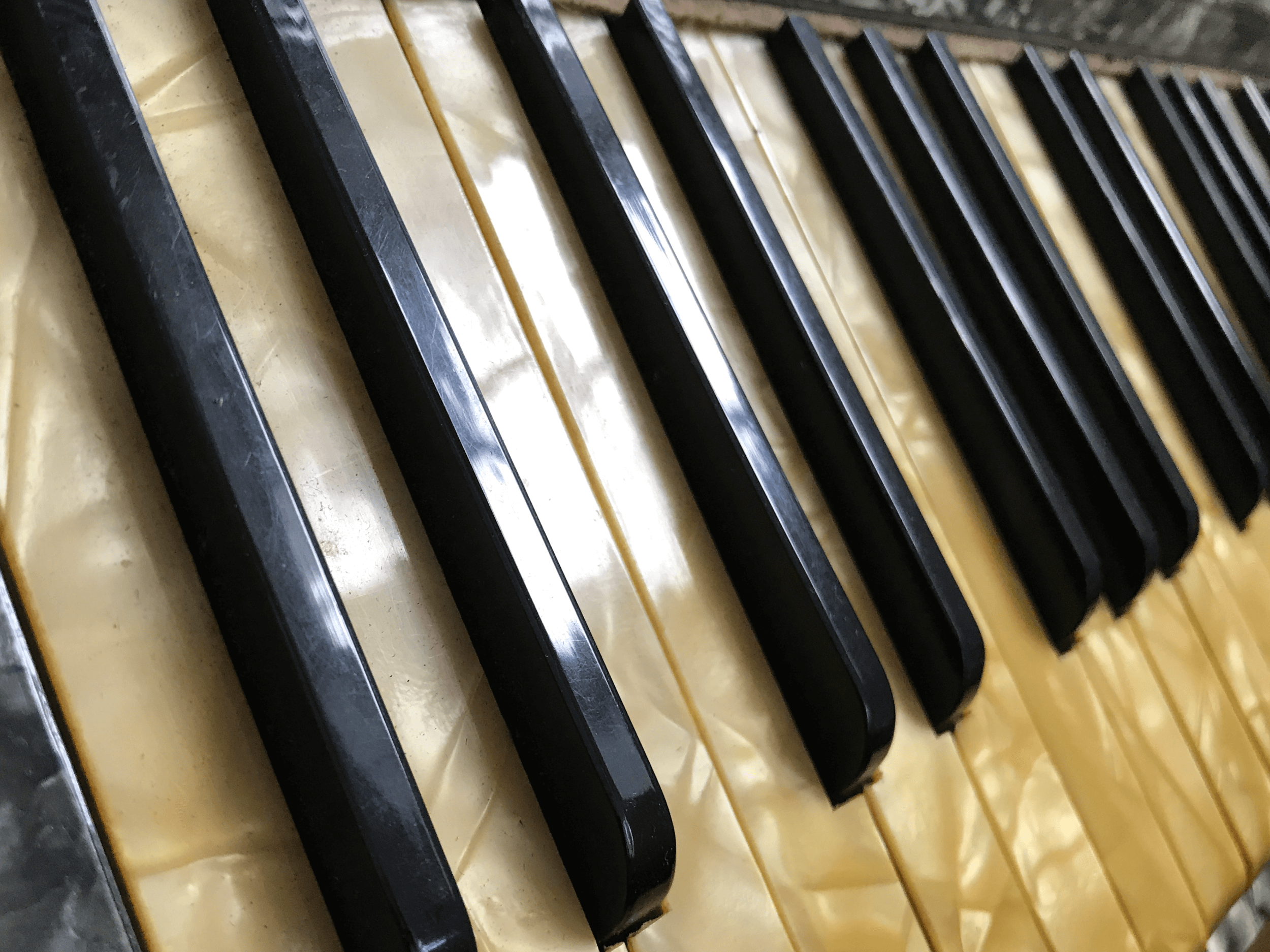accordeon toetsen 02